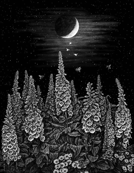 Foxglove Moon Print