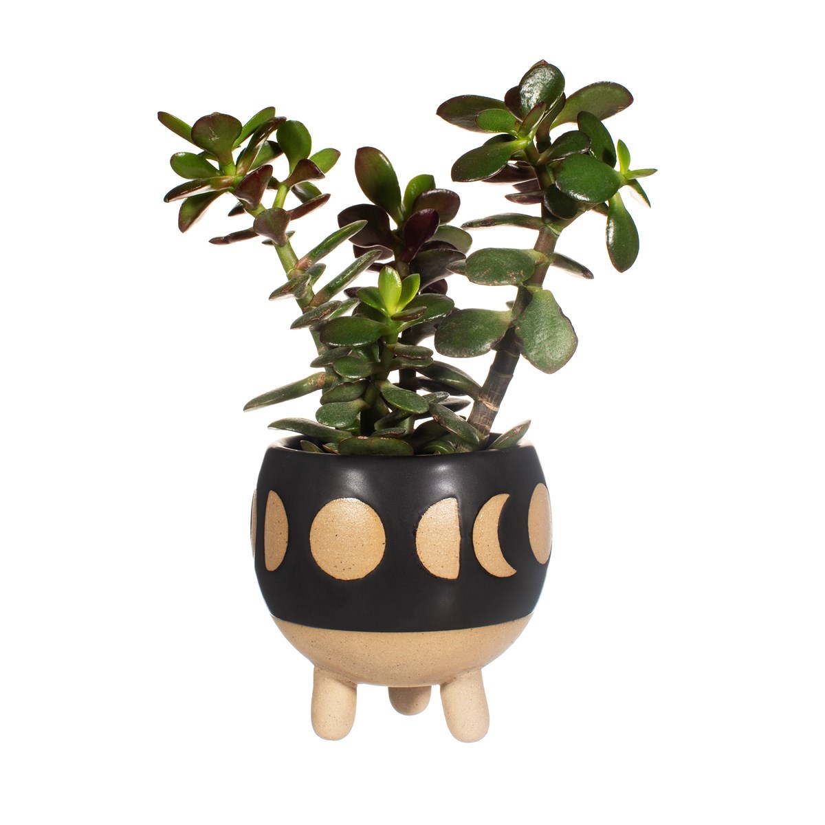 Ceramic Cauldron Planter