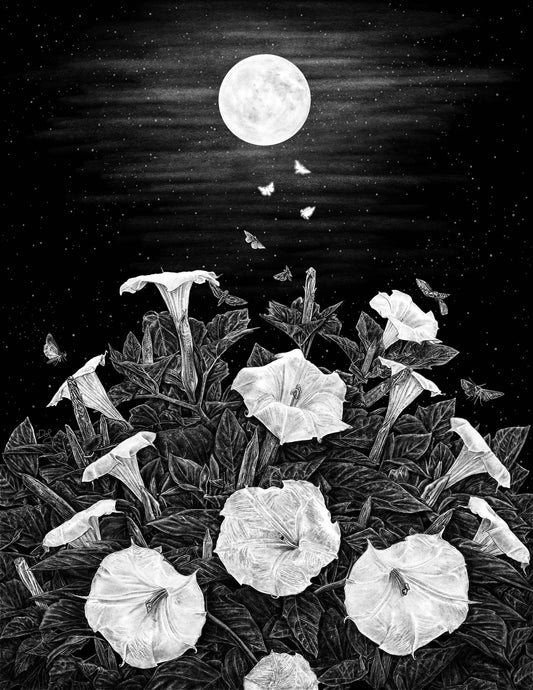 Datura Moon Print