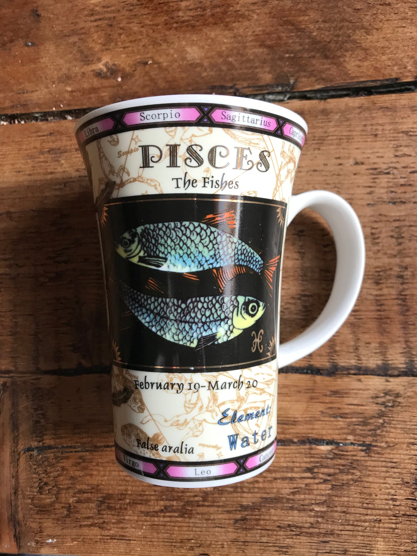 Pisces Astrology Mug